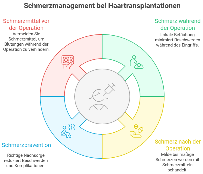 Kreisförmige Infografik mit vier Segmenten zum Thema Schmerzmanagement bei Haartransplantationen