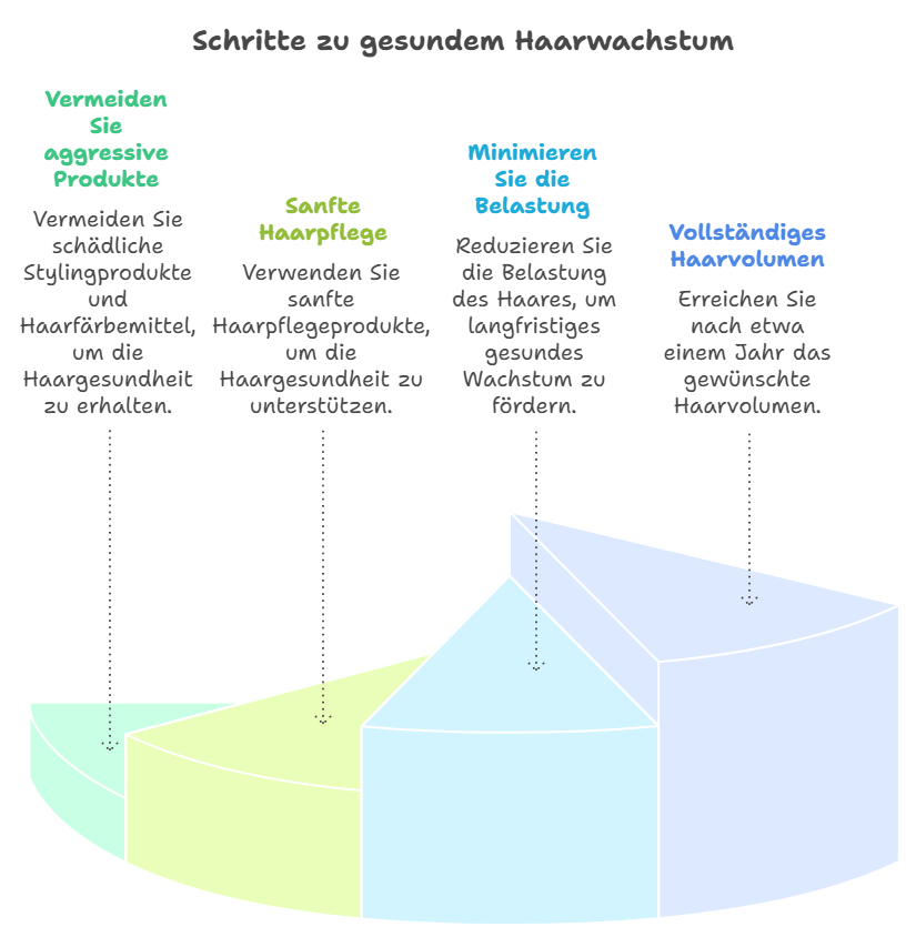 Infografik mit dem Titel Schritte zu gesundem Haarwachstum. Sie zeigt vier aufeinanderfolgende Schritte in farbigen Segmenten.