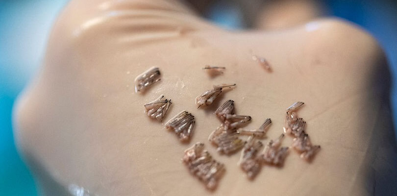 Sac Ekiminde En iyi Yöntem Hangisidir?