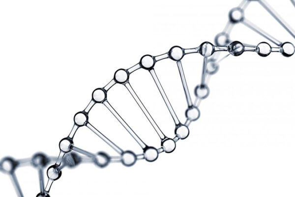 Otolog Micro Greft Nedir?