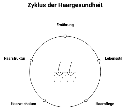 Grafik zum ‚Zyklus der Haargesundheit‘ mit Kreisdiagramm und den Faktoren Ernährung, Lebensstil, Haarpflege, Haarwachstum und Haarstruktur.