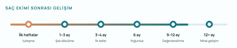 Saç ekimi sonrası ilk haftalardan 12. ayın sonuna kadar iyileşme, şok dökülme, yeni saç çıkışı ve nihai gelişim aşamaları.